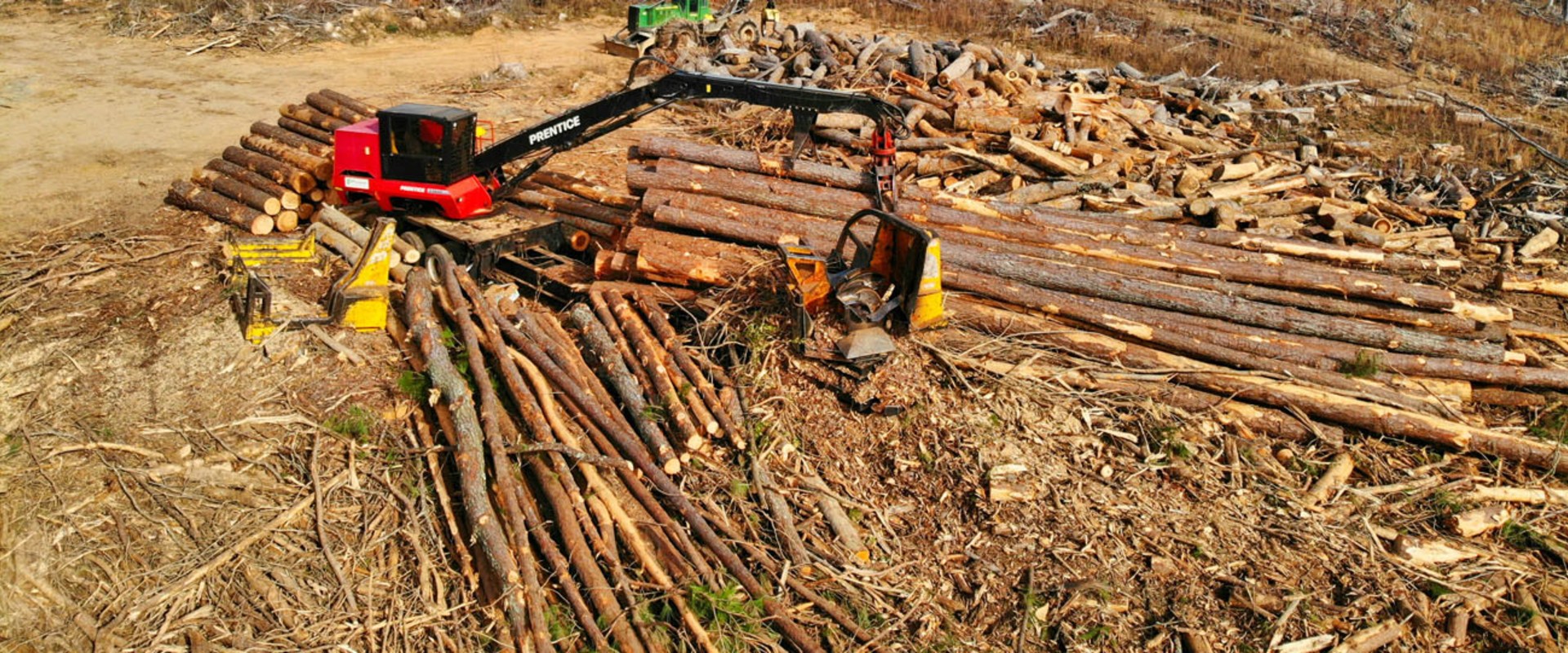 What causes land clearing?