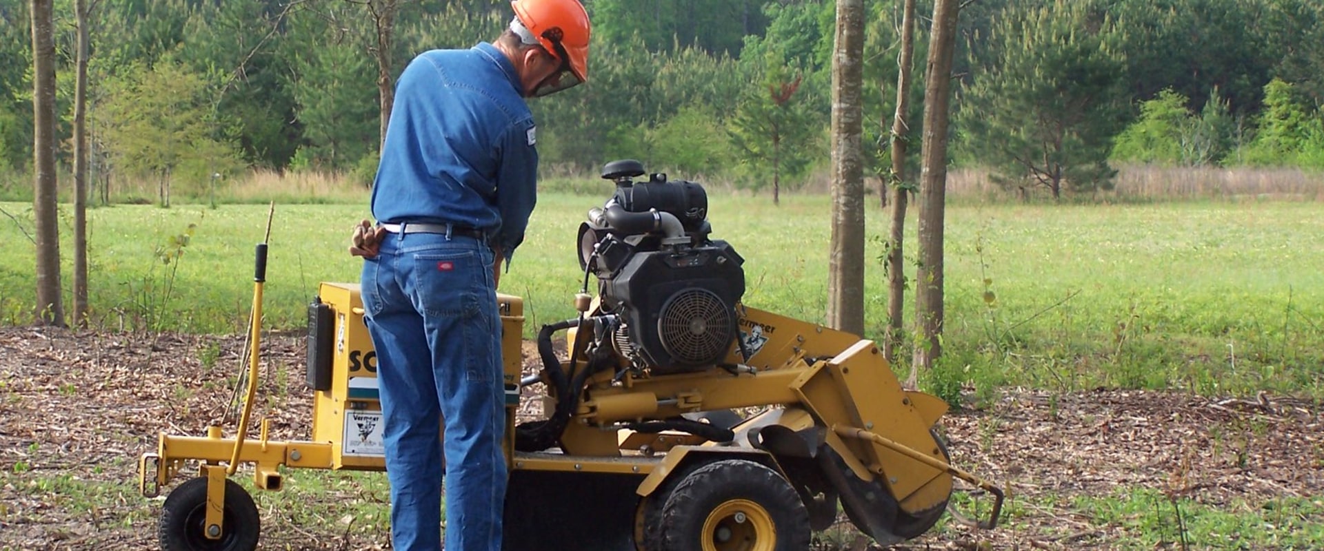 Why Stump Removal Is Crucial For Proper Land Clearing In Lubbock, TX
