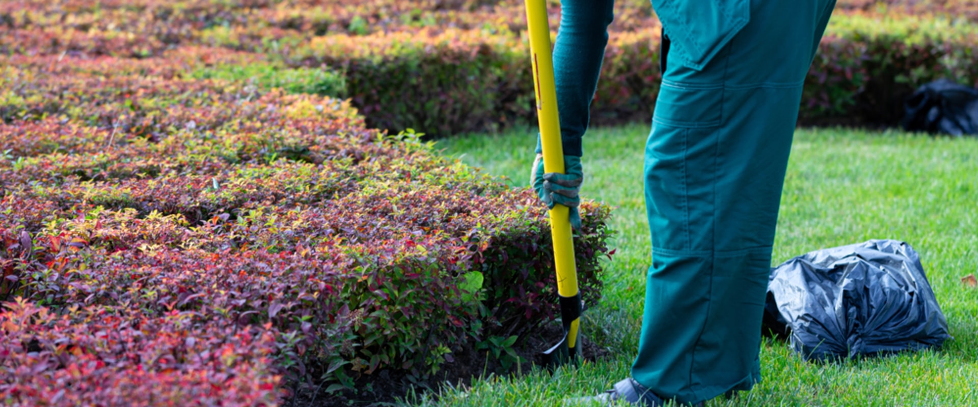 The Importance Of Land Clearing For Property Development In Scottsdale