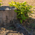Are land clearing costs deductible?