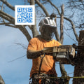 Uncovering The Importance Of Arborist Services In Land Clearing Projects In Martinsburg, WV