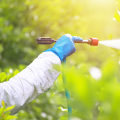 Land Clearing And Pest Control Why Las Vegas Businesses Need Commercial Exterminators