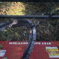 Professional Land Clearing in Columbia, MO: Prepare Your Property for Lasting Success