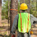 How can we sustainably clear land?