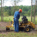 Why Stump Removal Is Crucial For Proper Land Clearing In Lubbock, TX