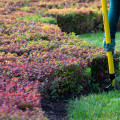 The Essential Guide To Land Clearing: Preparing Your New Hampshire Property For Lawn Care
