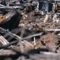 Why is land clearing bad?