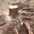The Chain Saw Cuts, The Critters Creep: Pest Control In Longwood For Post-Land Clearing Protection