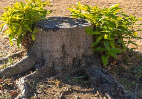 Are land clearing costs deductible?