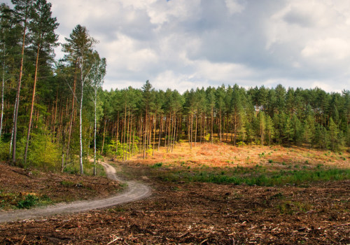 How to reduce land clearing?