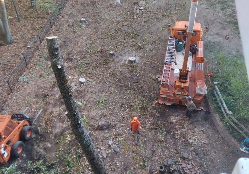 Benefits Of Hiring An Excavation Contractor In New Hampton, NH For Your Land Clearing Project
