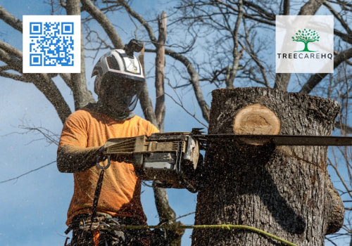 Uncovering The Importance Of Arborist Services In Land Clearing Projects In Martinsburg, WV