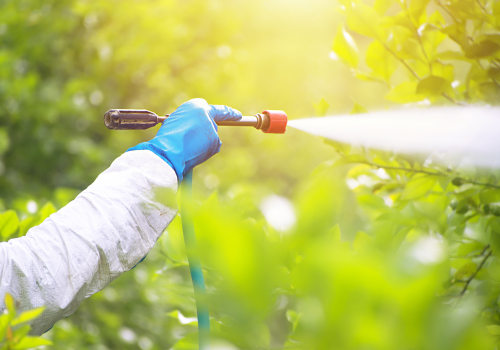Land Clearing And Pest Control Why Las Vegas Businesses Need Commercial Exterminators