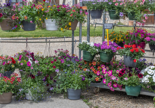From Land Clearing to Lasting Beauty: Professional Landscaping Service in Colleyville, TX