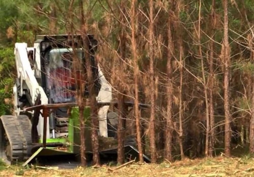How land is cleared from trees?