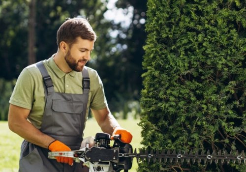 Transforming Your Outdoor Space: The Role Of Land Clearing In Leesburg