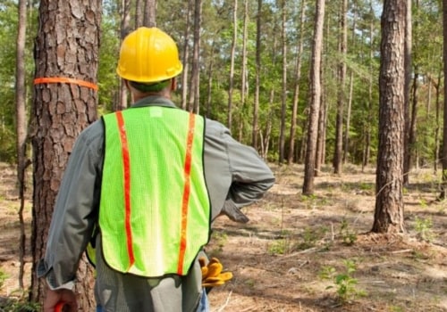 How can we sustainably clear land?
