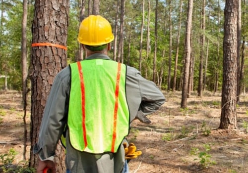 How to get into land clearing?