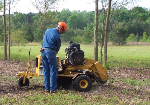 Why Stump Removal Is Crucial For Proper Land Clearing In Lubbock, TX