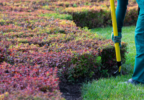 The Essential Guide To Land Clearing: Preparing Your New Hampshire Property For Lawn Care
