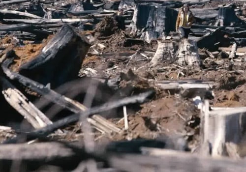 Why is land clearing bad?