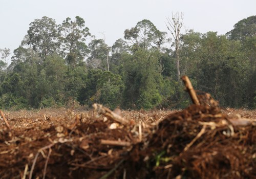 What environments are affected by land clearing?
